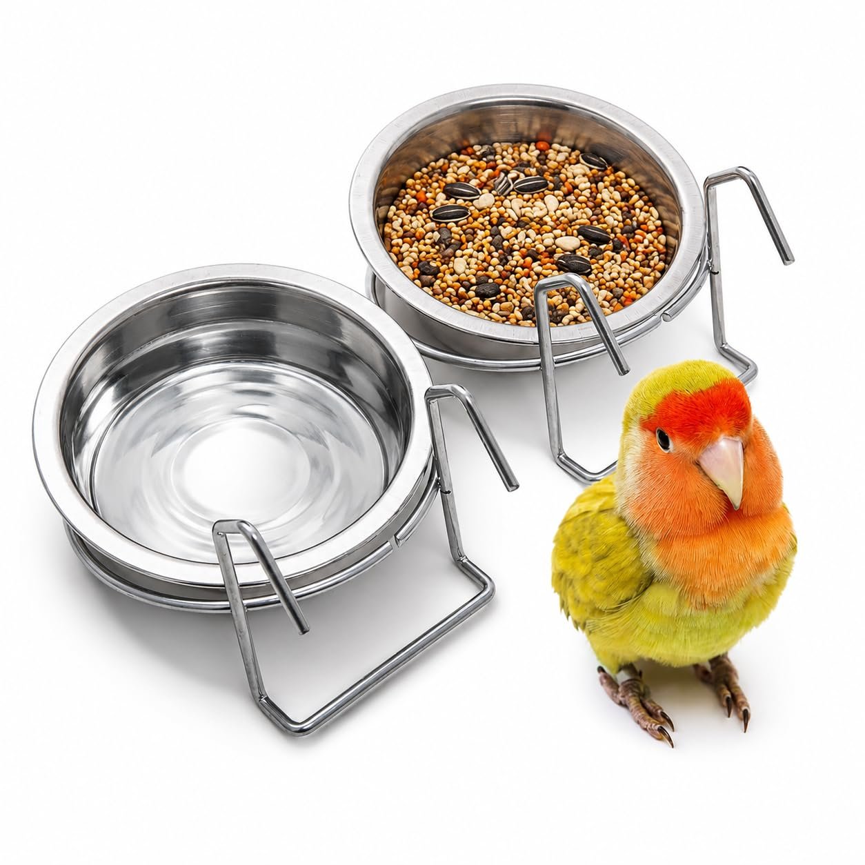 RvPaws Pet Bowl Stainless Steel Hanging Food Water Bowls Bird Cage Feeder For Birds,Parrots (250 Ml) - Pack Of 2,Medium