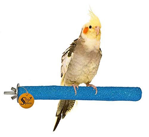 Sage Square 6 inch Bird Perch Parrot Perch Natural Wood Sand Platform - Nail Trimmer, Cage Accessory for Birds & Small Animal