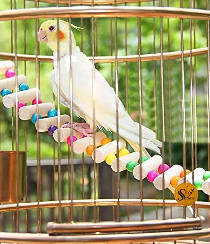 Sage Square Bird Cage Hanging Ladder 48cm - Step Up Your Bird's Fun & Training with This Natural Wooden Rainbow Ladder & Deco