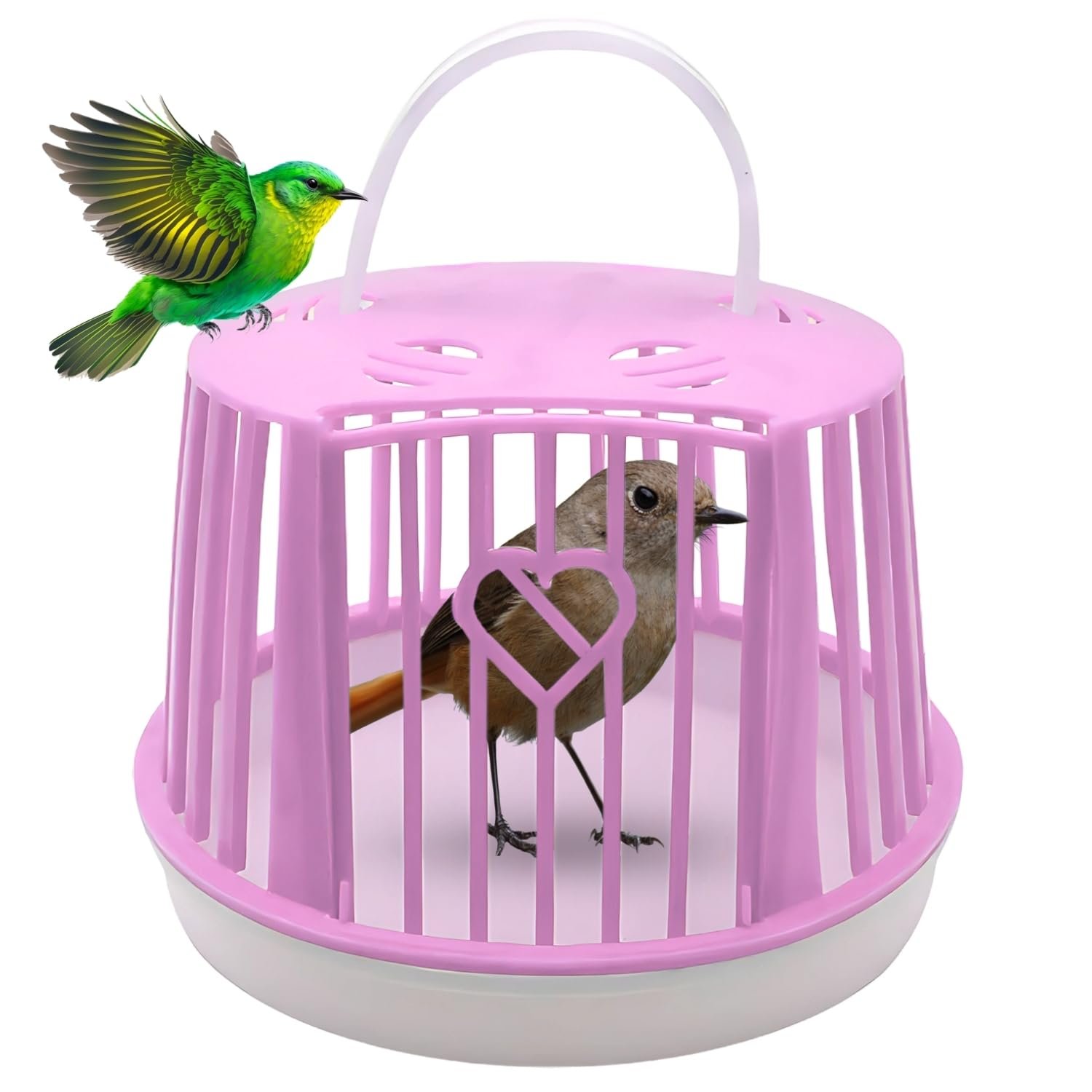 Sage Square Bird Travel Round Basket – Lightweight Portable Cage with Secure Lid, Ventilated Design for Fresh Air, Durable Co