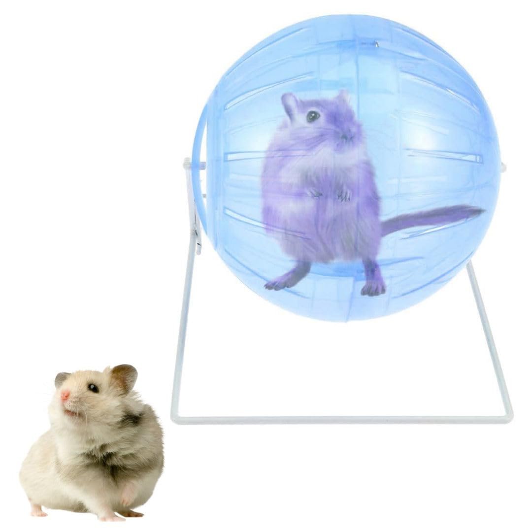 Sage Square Hamster Ball with Stand Transparent Runing, Exercise Ball Toy, Lightweight, Breathable, Prevent Escape Suitable f