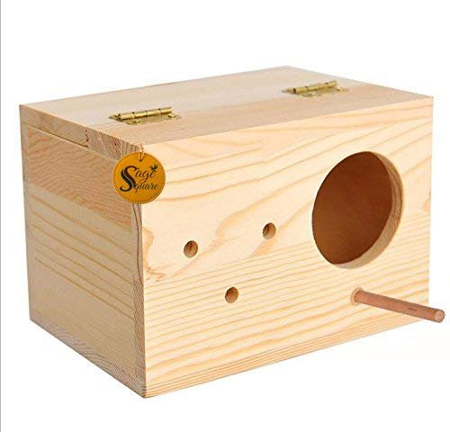 Sage Square Jumbo Size Natural Wood Mountable Nest Cum Breeding Box with Perch Attached (Design for Medium Size Birds)