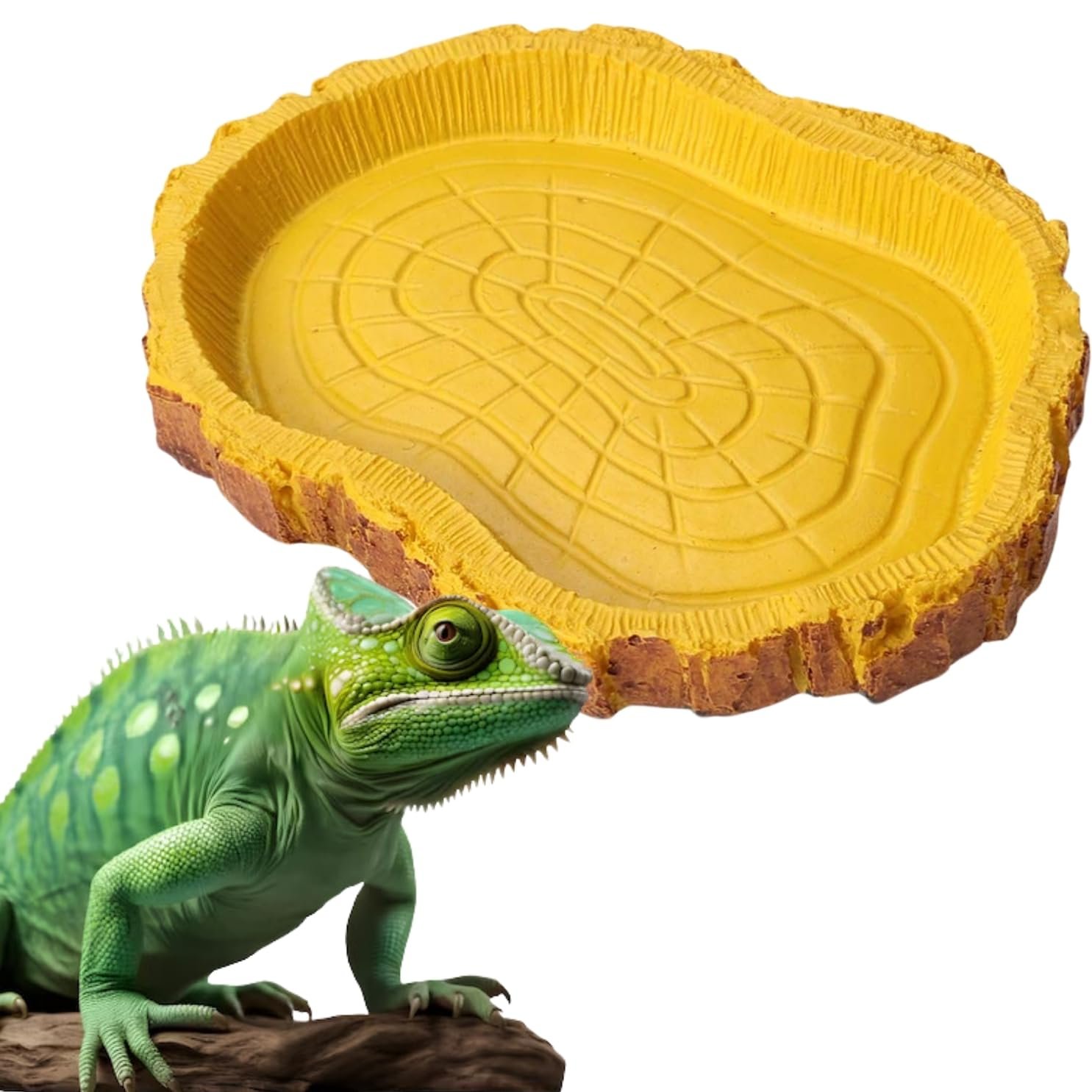 Sage Square Turtle Feeding Dish: Enhance Your Reptile's Mealtime Routine with a Durable & Versatile Food Tray, Serving Nutrit