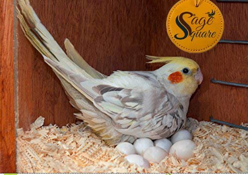 Sage Square Wood Shaving - Premium Natural Soft Bedding for Birds and Small Animals - Cozy Nesting Material for All Bird Spec