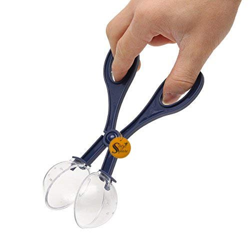 Sage Square Worm/Insect Food Feeder Tool for Reptile/Terrarium/Aquarium/Snake/Python/Lizard/Gecko/Iguana/Turtle/Scorpion/Frog