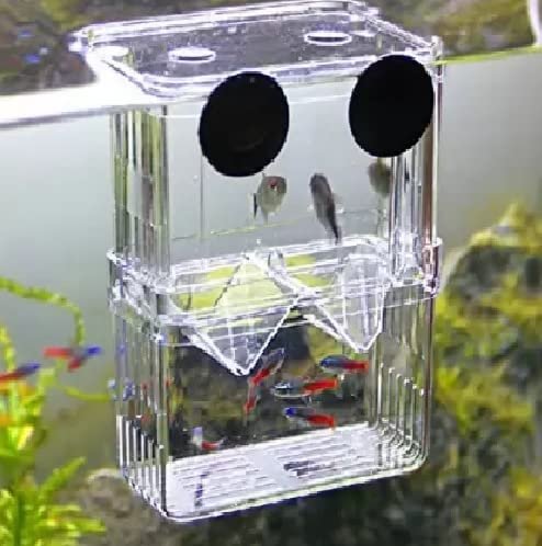 Sansefero Betta Tank (Breeding Box)