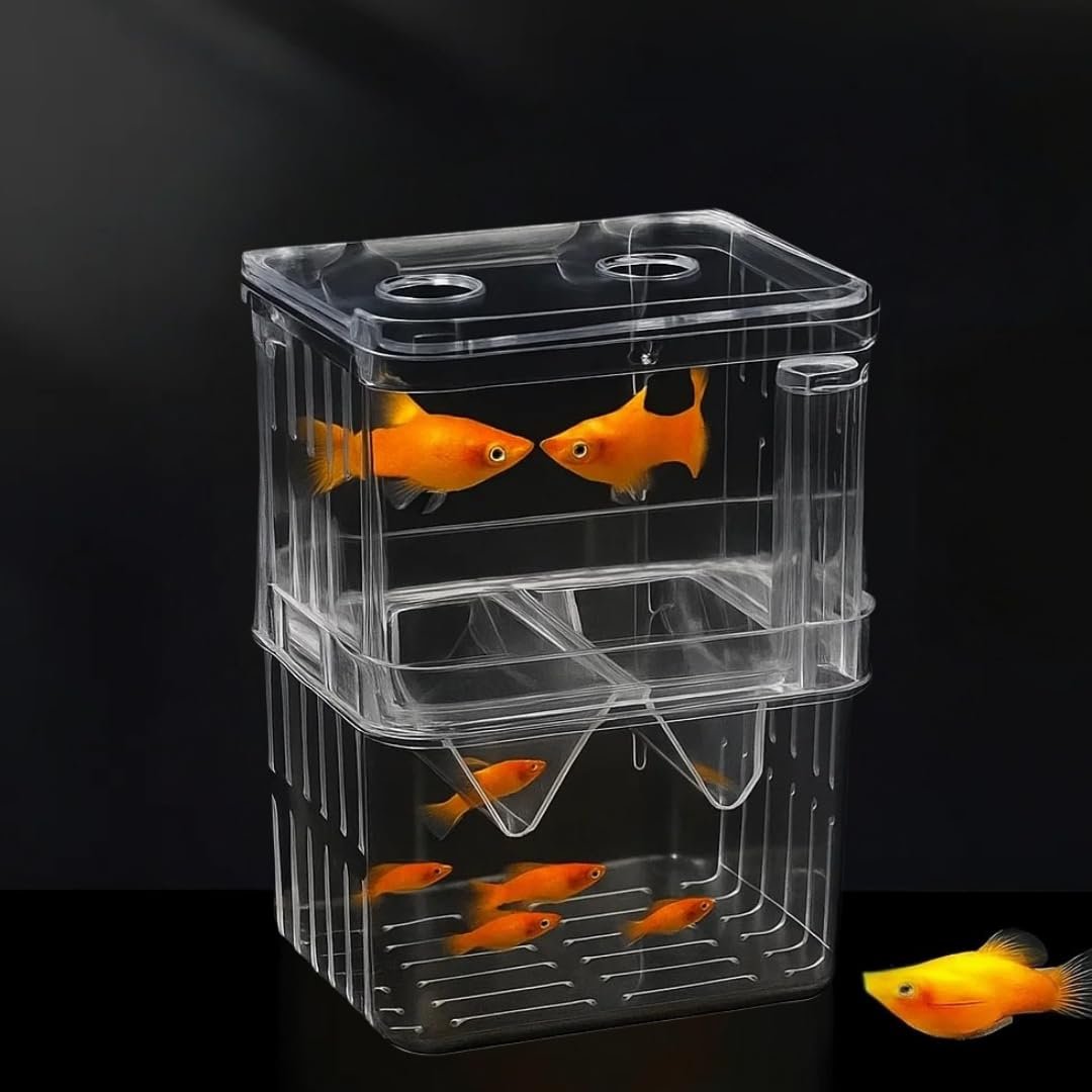 SANSEFERO® Breeding Box Isolation Box Fish Tank Aquarium Breeder Box Double Guppies Incubator Aquarium Rectangle Aquarium Tan