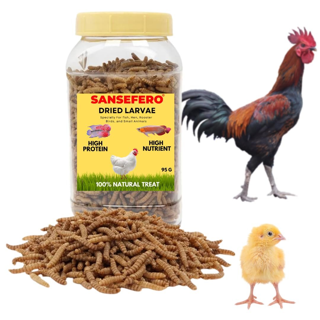SANSEFERO Dried Larvae Worms for High Protein Food of All Life Stages Fishes, Chickens, Hens, Rooster, Hamsters & Other Repti