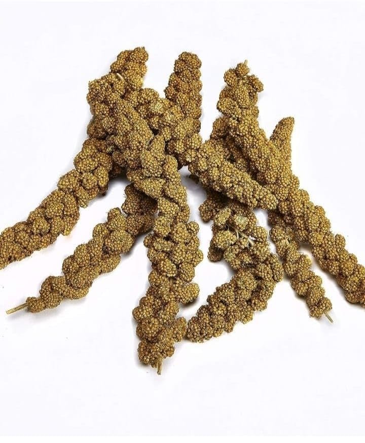 SATARA ETC Bird and Pet Food, Spray Foxtail Millet, Rabbit, Rat, Parrot, Small, Medium, Large Pets, No Preservatives, Indian