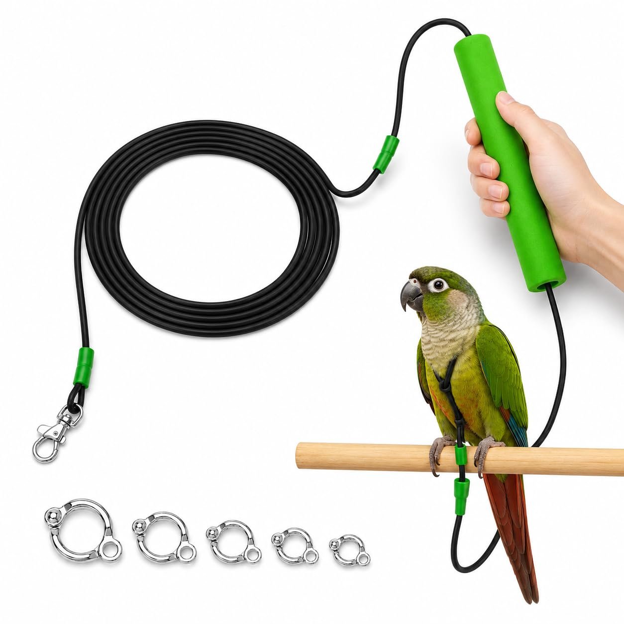Satmarhz Bird Leash with 5 Leg Rings, Parrot Harness for Flight Training | 5 sizes of bird leg rings with anti-bite elastic l