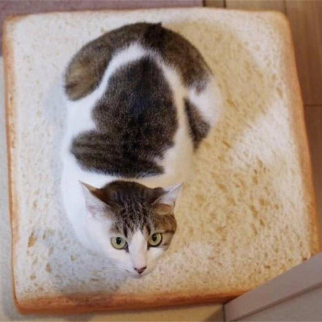 SECRET DESIRE™ Creative Toast Bread Cushion Covers Pillowcase for Cats and Small Dogs Pets Mat Sleep Soft Mattress Pad Pillow