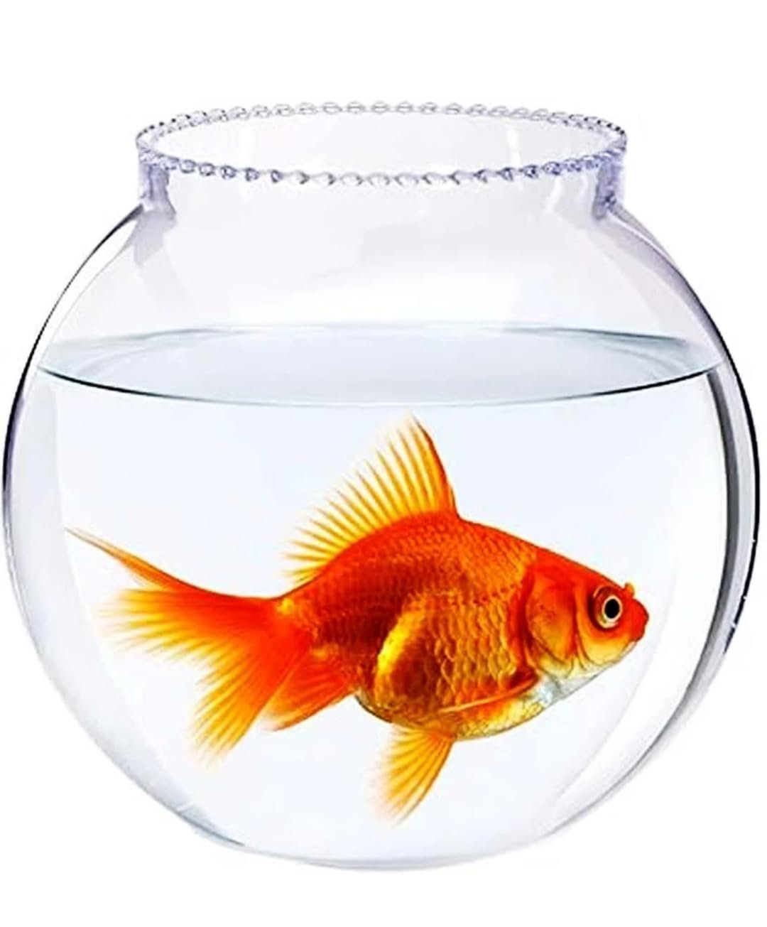 Shiv Enterprises Glass Fish Bowl (Surface (Glass) (8 inches, 3.5 L) | Glass