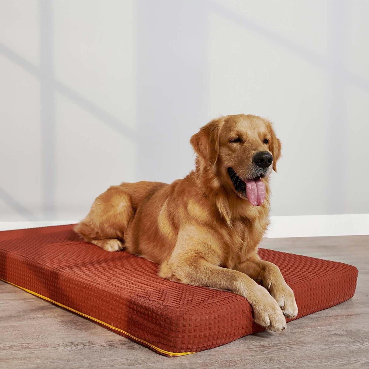 SleepyCat Orthopedic Dog Bed for Senior & Large Dogs | Cozy & Durable HD Foam Pet Bed for Joint Pain Relief | Scratch, Chew &