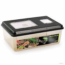 Small Pals Flat Home (Large) - Plastic Vivarium for Small Reptiles, Amphibians and Insects