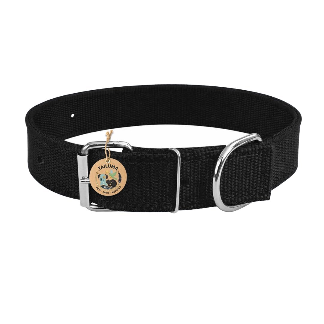 TAILUMA Adjustable Nylon Dog Collar for Dogs & Puppies | Durable & Comfortable Neck Belt 1 Inch (Black, Medium)