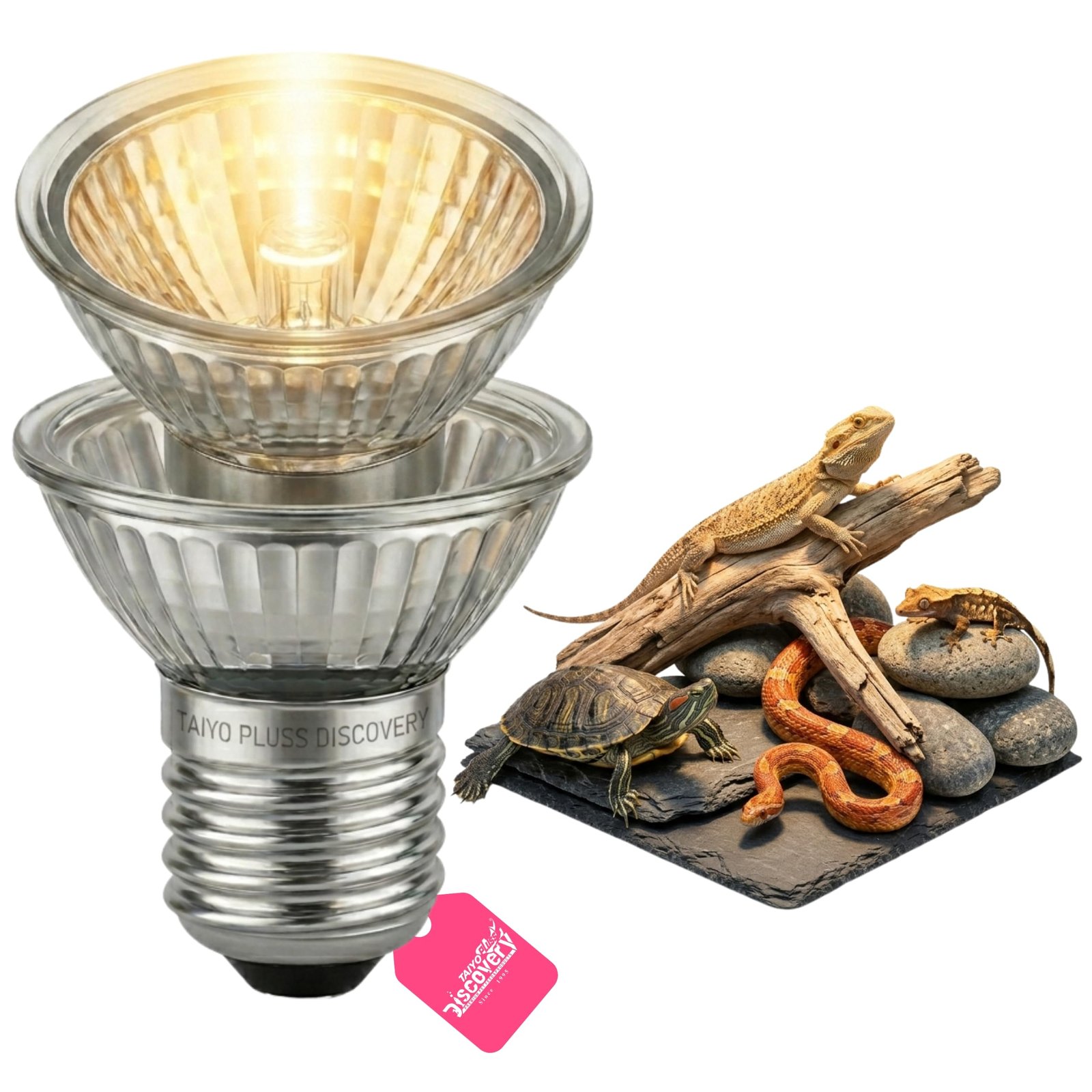 Taiyo Pluss Discovery Reptile Basking Bulb 50W (Pack of 2) | UVA + UVB Full Spectrum Heat Lamp | E27 Replacement Bulb for Tur
