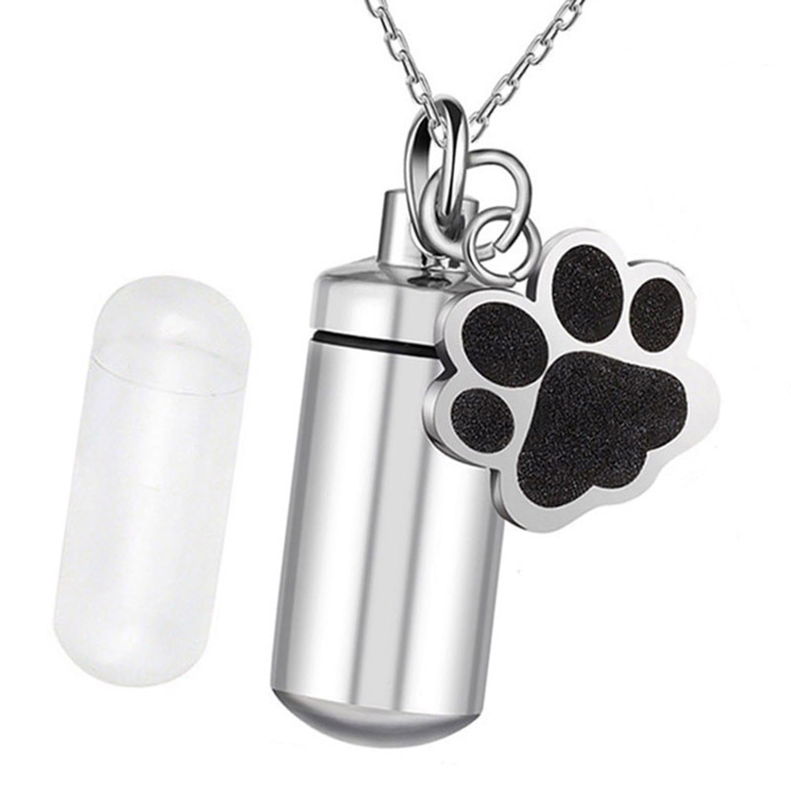 THE Style Sutra® Pet Urn Cremation Urn Box Burial Urn Box for Remembrance Dogs and Cats Ashes Pendant | 1 Ashes Urn 1 Transpa