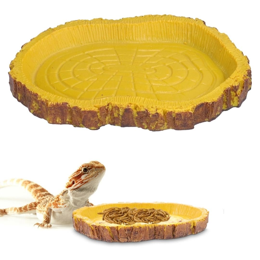 Toy Truffle Reptile, Turtle Gastronomy Dish: Elevate Your Pet's Dining Rituals with a Strong and Adaptable Feeding Tray, Perf