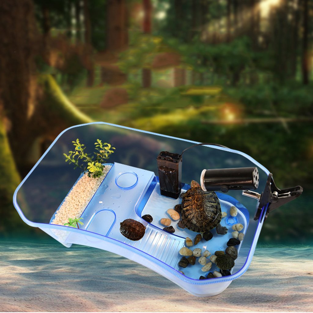 UJEAVETTE Plastic Reptile Terrapin Tortoise Turtle Tank Vivarium Feeding Box Blue