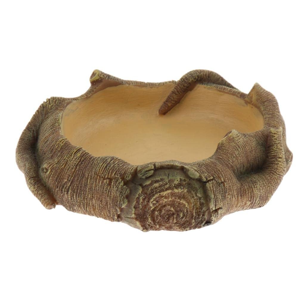 UJEAVETTE Reptile Terrarium Drinking Basin Pet Reptile Feeding Bowl Food Water Dish 1