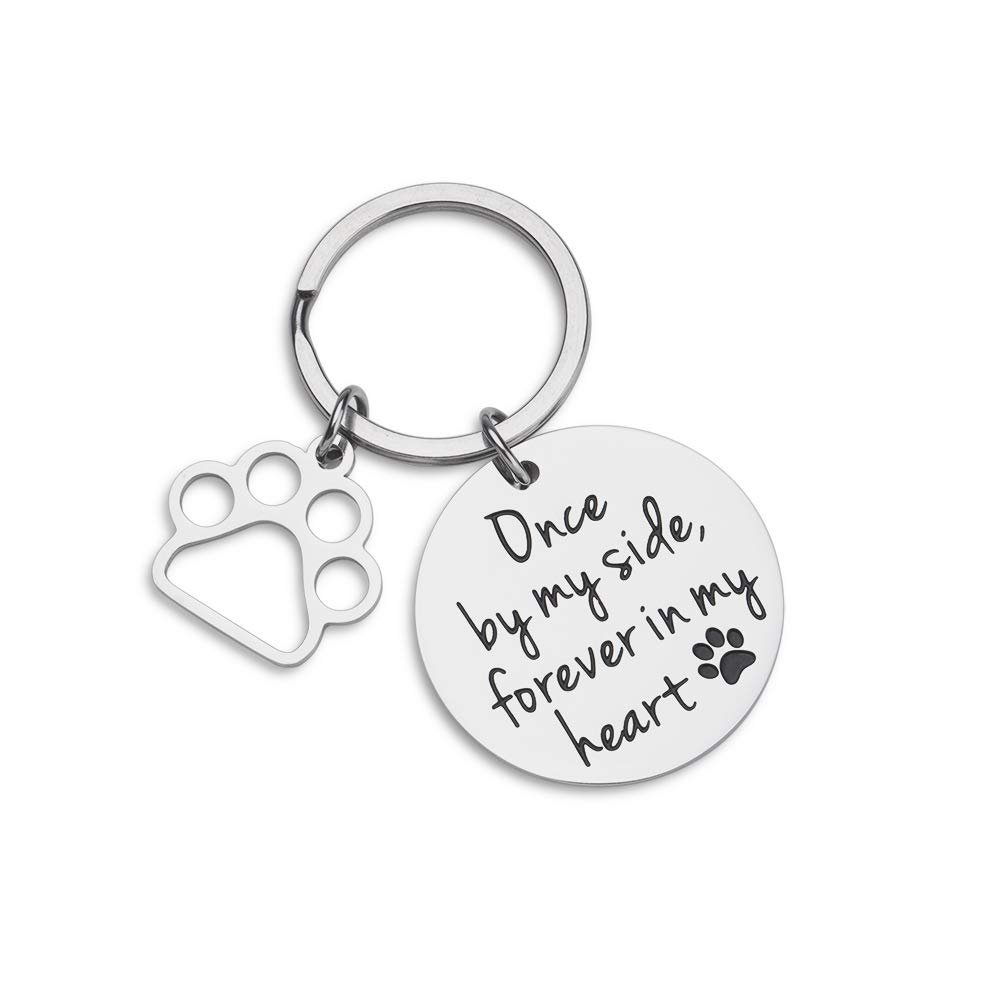 VANLOVEMAC Loss of Pet Memorial Keychain Dog Cat Remembrance Jewelry Pet Sympathy Gift Dog Remembrance for Women Men Once by