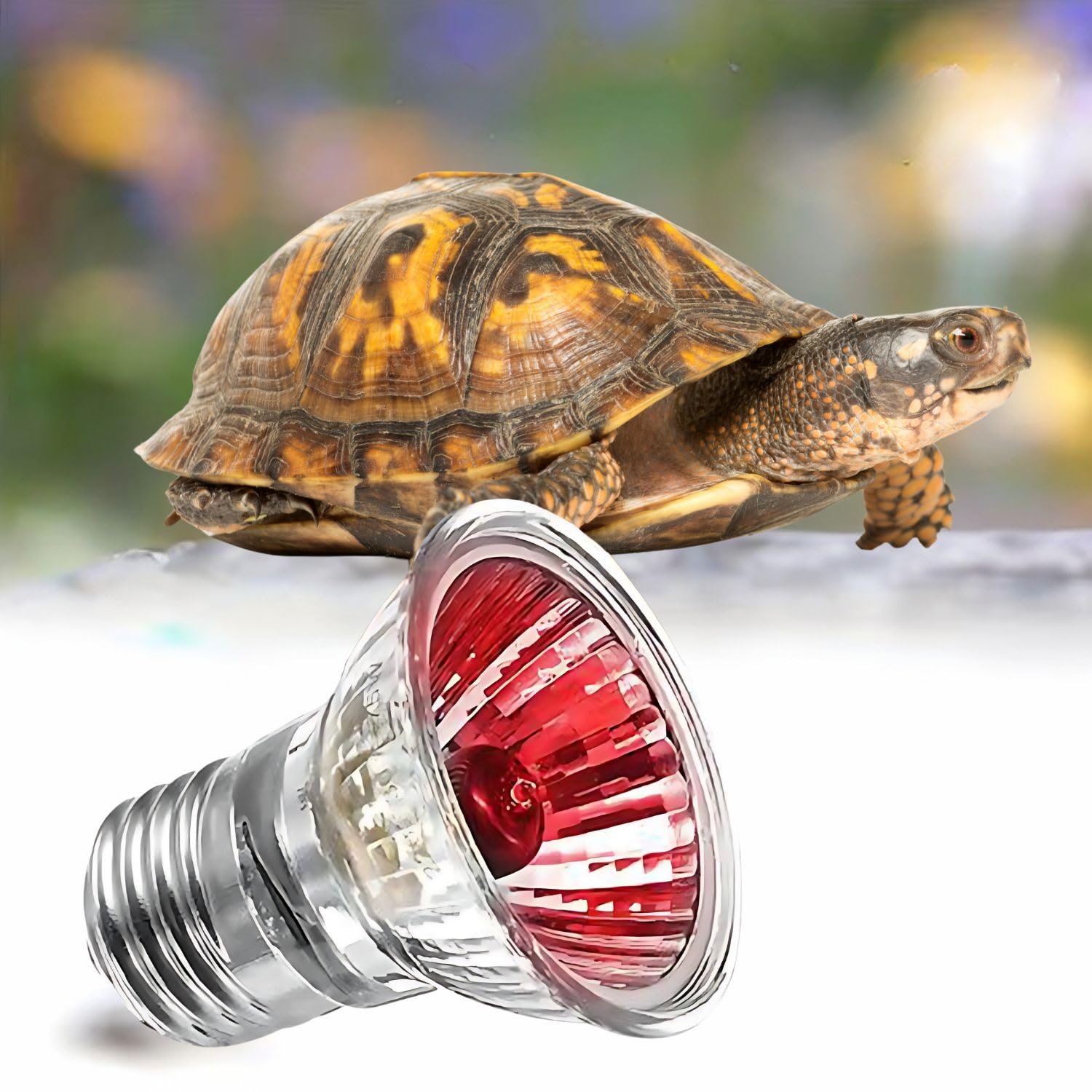 VAYINATO® 50W Infrared UV Rays (Red) Reptile Turtle Heat Lamp Lights, Night Use UVA UVB Aquarium Bulbs by Petzlifeworld