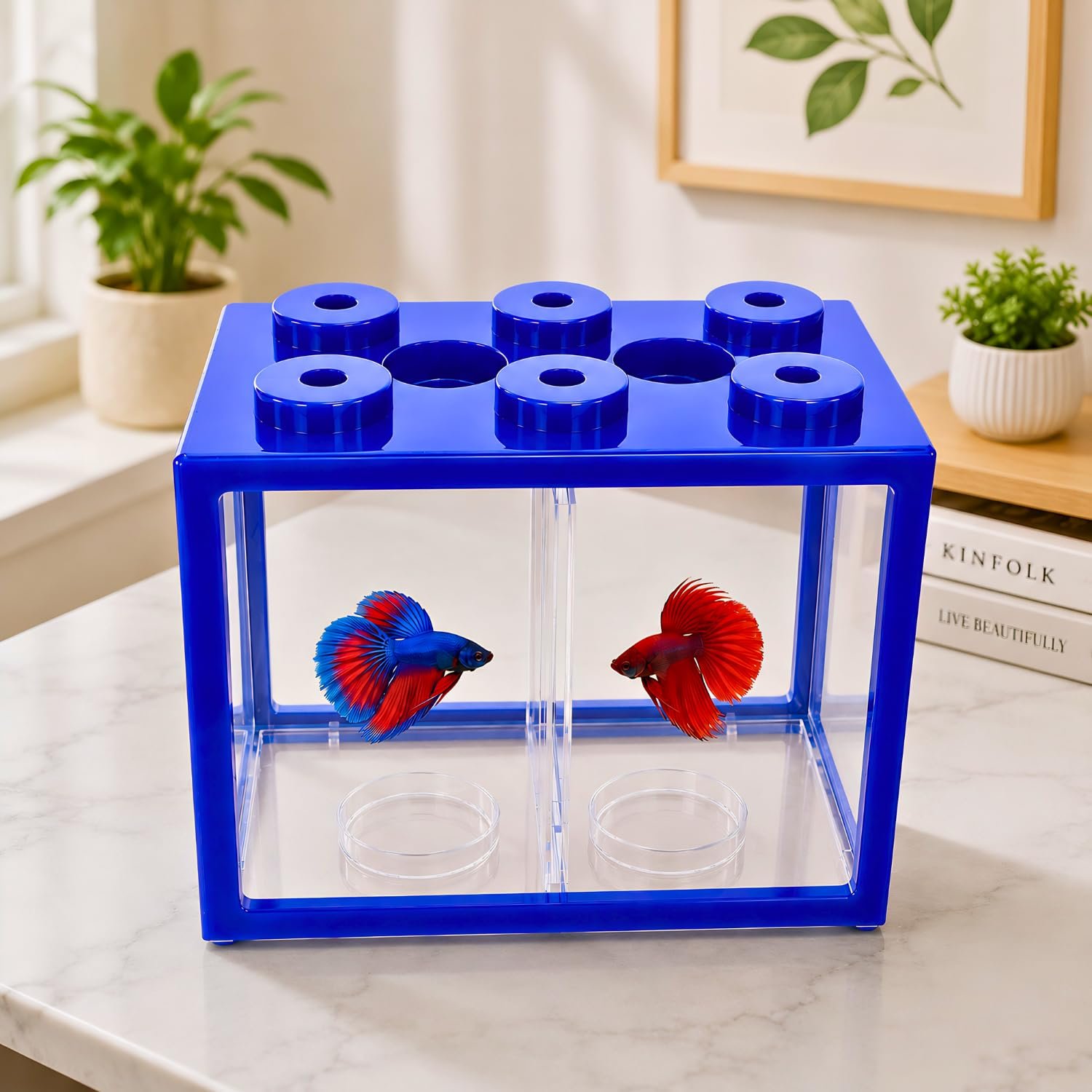 VAYINATO BT-102 Transparent Acrylic Betta Tank with Divider | Random Colour | 2-in-1 Betta Block Mini Fish Aquarium with Lid
