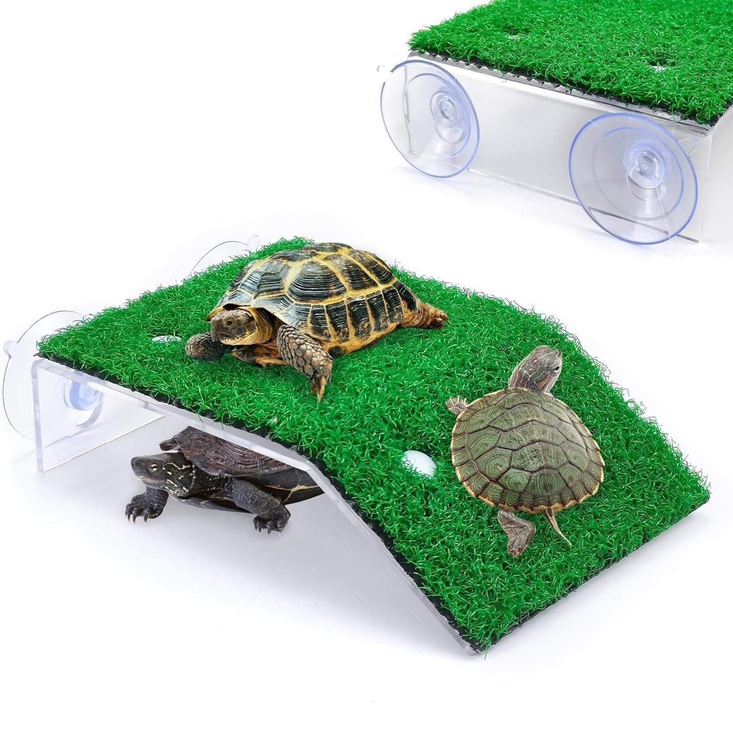 VAYINATO® CP-120 Turtle Reptile Tortoise Moss Island Basking Climbing Platform Turtle Ladder by Petzlifeworld