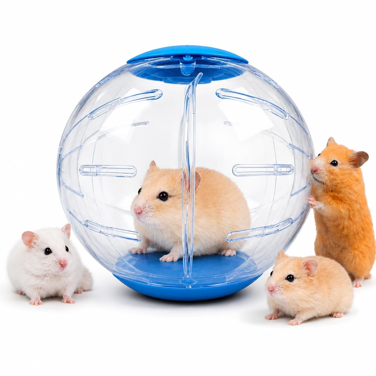 VAYINATO® P25 Medium Hamster Exercise Ball 14CM Transparent Running Ball | Safe Lock Design | Small Animal Exercise Toy for S
