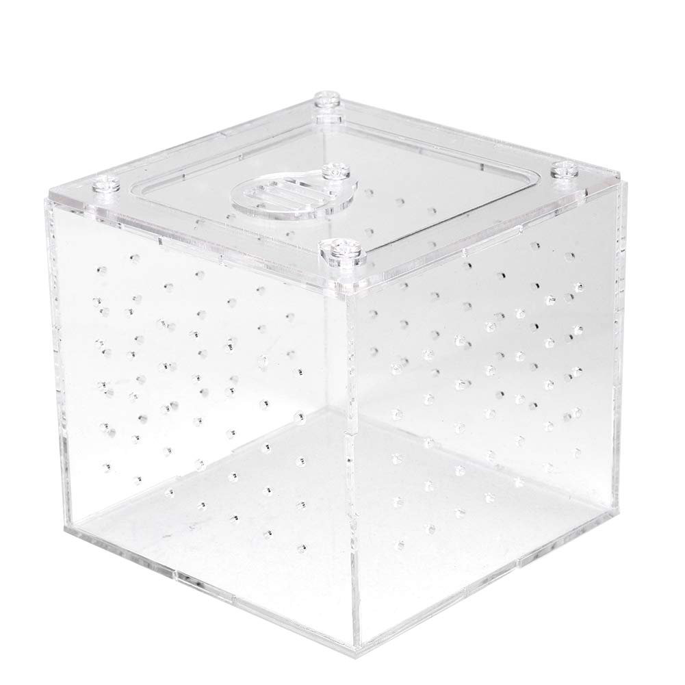 Velaurs Transparent 2MM Ventilations Holes Lizard Breeding Box, Snakes Breeding Box, Acrylic for Geckos Snails Crickets Taran