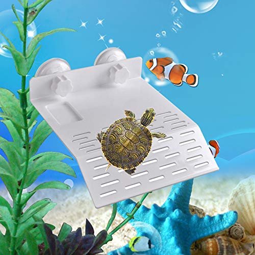 Western Era Platform Basking with Food Bowl & Suction Cup for Turtle, Reptile, Aquarium, Small Amphibians (Large Size)