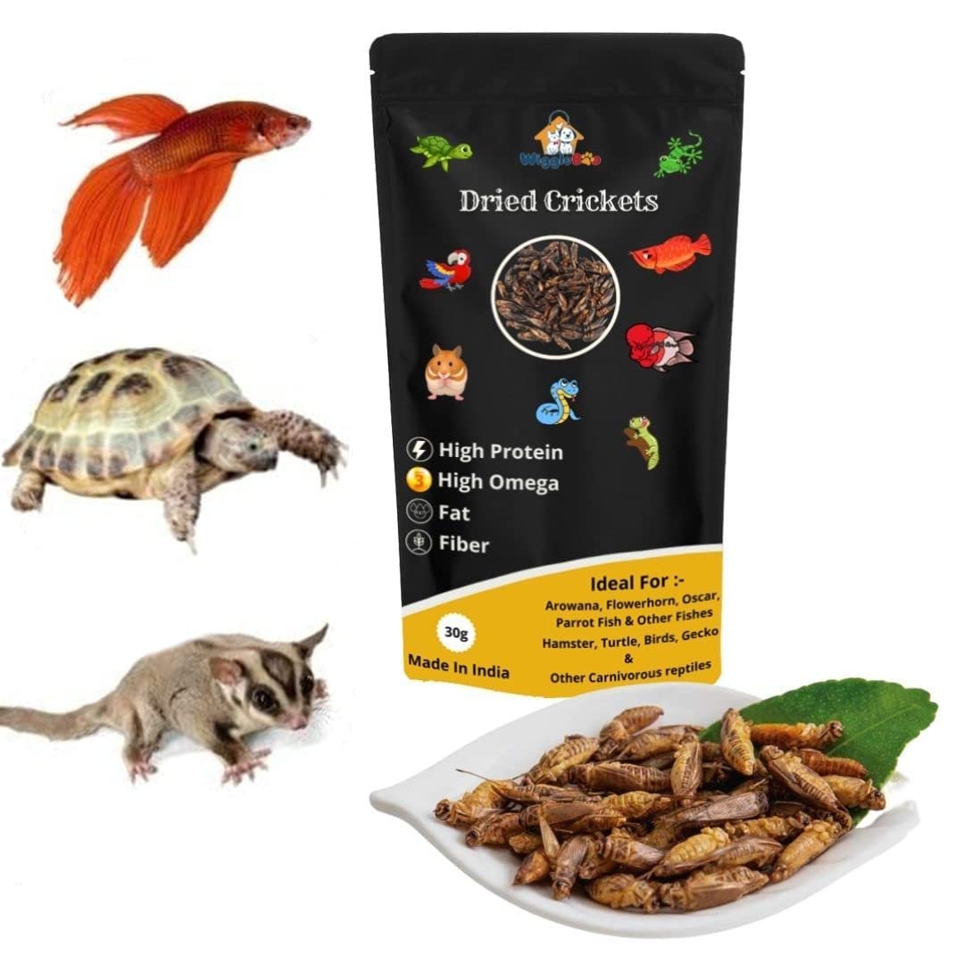 WiggleBoo Natural Protein Treat Dried Cricket Great for Reptiles, Tropical Fish, Birds, Hedgehogs, Sugar Gliders, Tutle & Ham