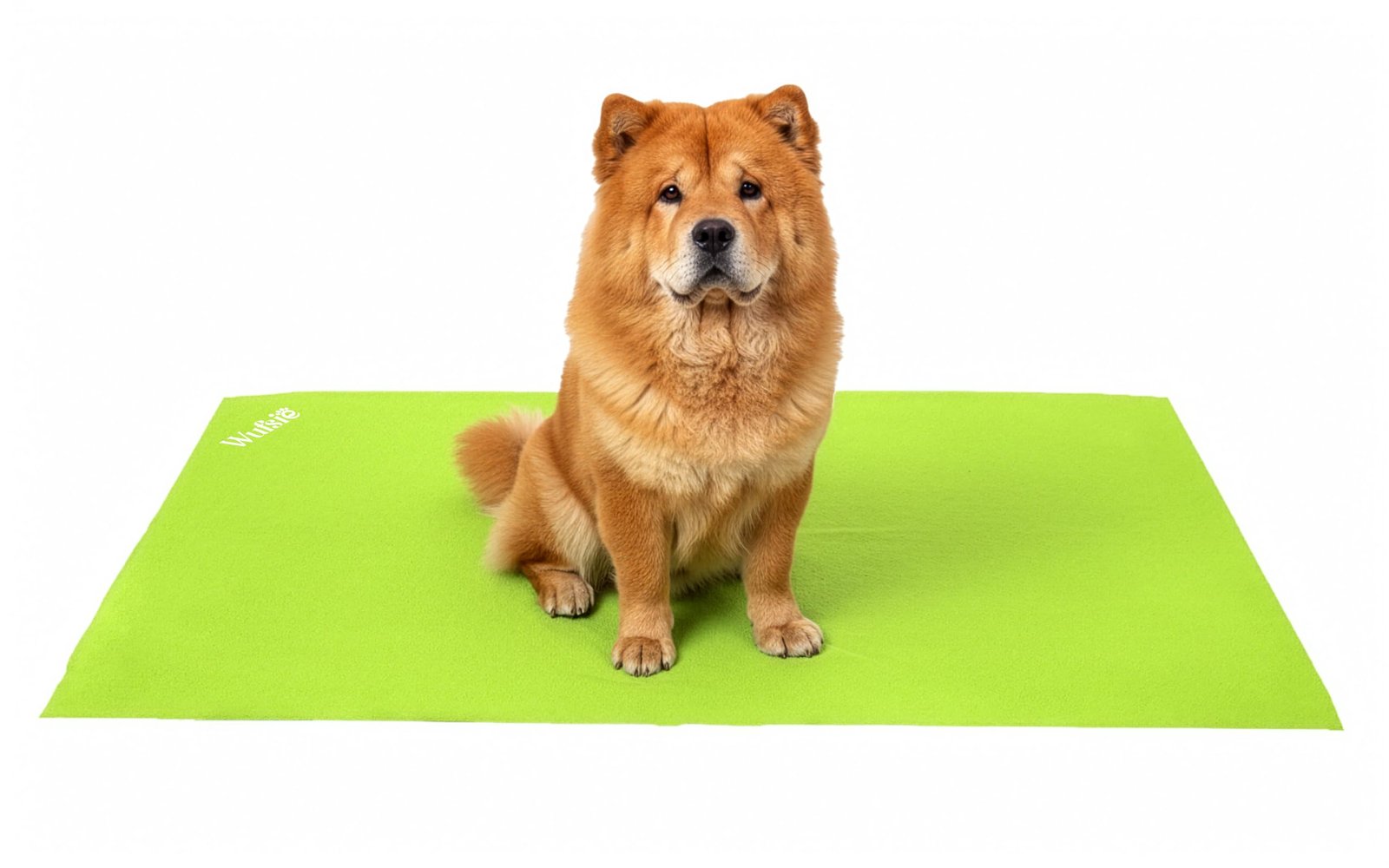 WUFSIE Waterproof Reusable Washable Pee Pads & Hygenic Pet Dry Sheet - Couch/Sofa/Bed/Mattress, Puppy Training & Car Seats Pr
