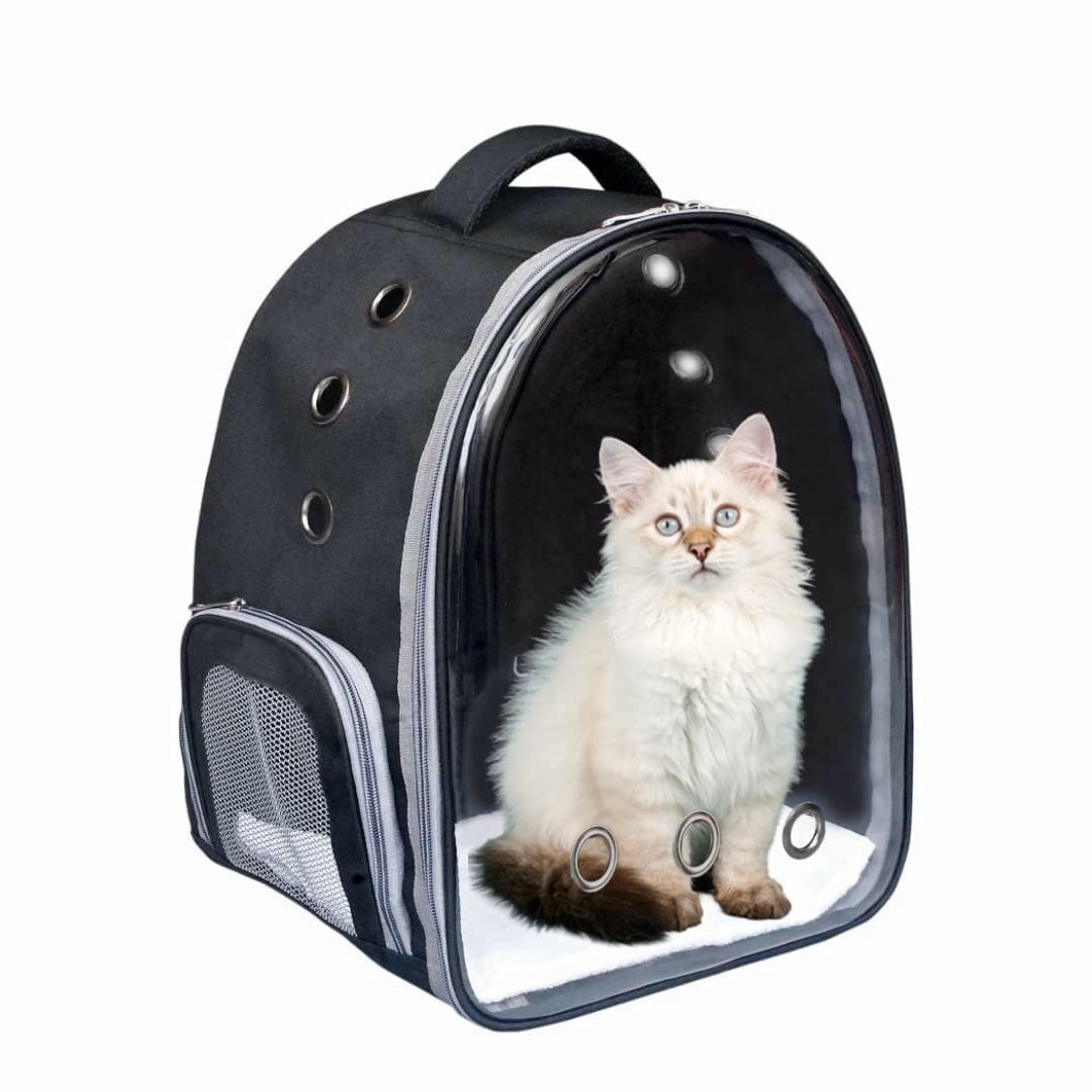 Xigwig Pet Carrier for Cat & Small Dog and Puppy Kitty Transparent and Breathable Airline-Approved Hiking and Outdoor for Pup