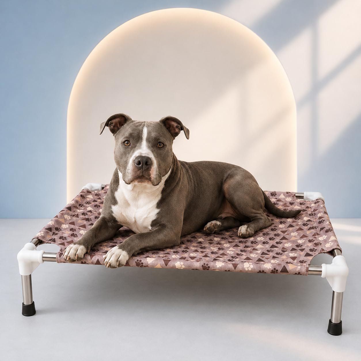 ZEXSAZONE Folding Elevated Dog Bed 70x60x20 cm | Cooling Pet Cot for Medium Dogs & Cats | Breathable Canvas Fabric, SS 302 Fr