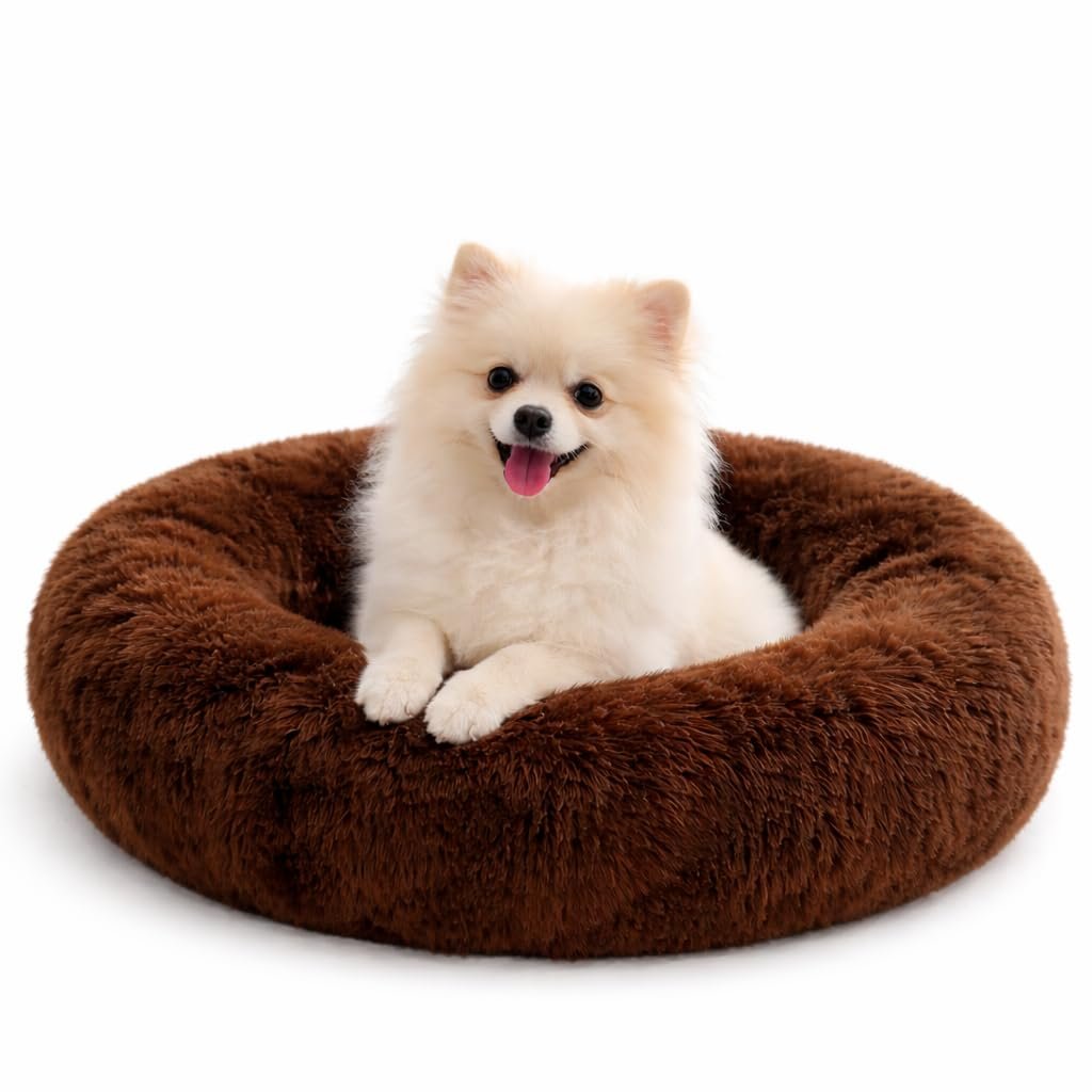 ZEXSAZONE Summer Comfortable Durable Both Sides usable and Washable Pet Bed | Cat Bed | Puppy Bed | Dog Bed | Medium Dog Bed