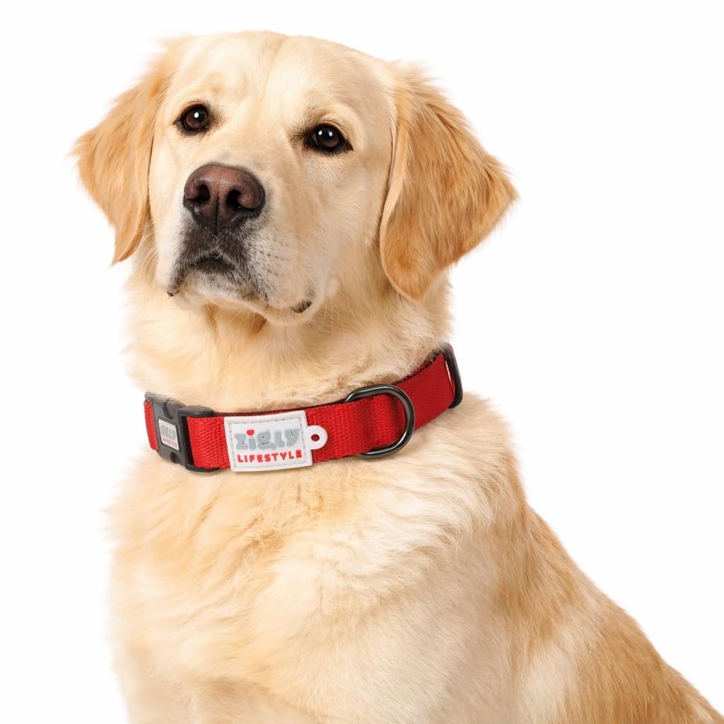Zigly Lifestyle Classic Adjustable Padded Dog Collar for Dogs & Puppies | Soft Comfortable Durable Everyday Walking Neck Coll