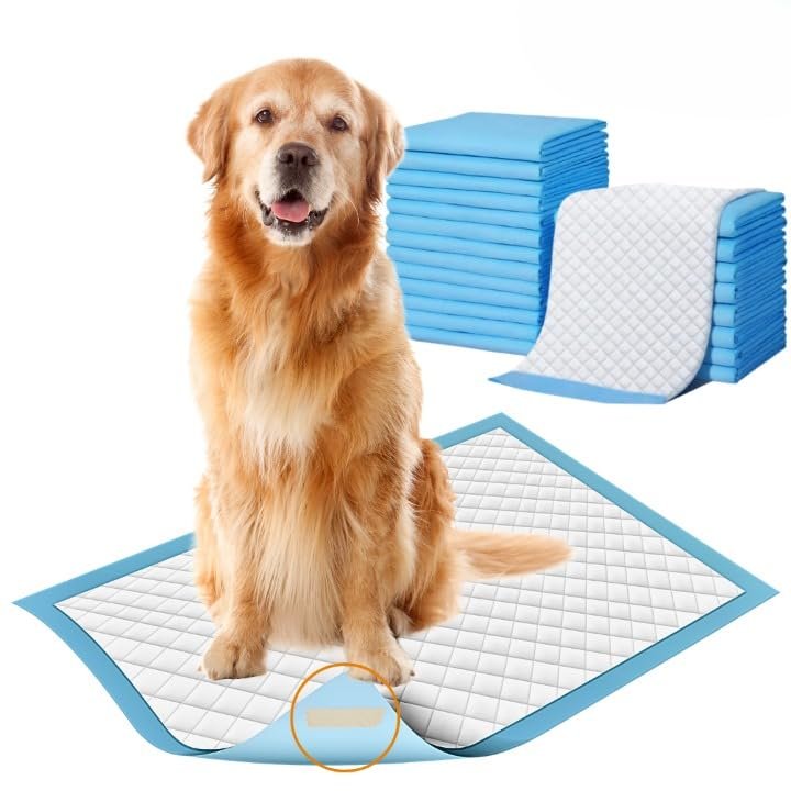 ZOIVANE Pee Pads for Dogs (Pack of 60) | 60x90 cm Heavy-Duty Pet Training Pads with Adhesive Floor Tape | Quick-Dry, Leak-Pro